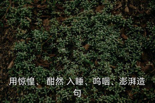 用驚惶、 酣然 入睡、嗚咽、澎湃造句