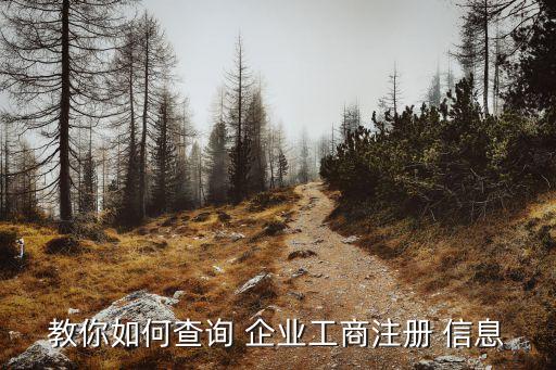 查企業(yè)信息