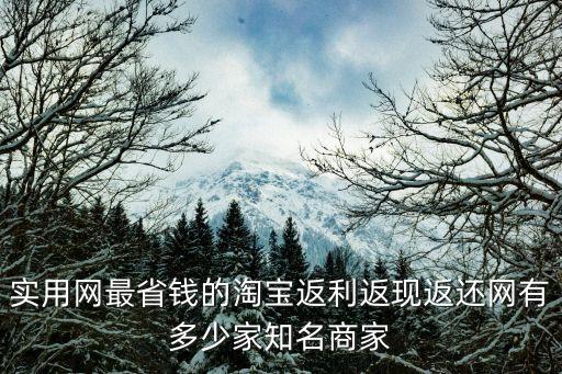 實(shí)用網(wǎng)最省錢的淘寶返利返現(xiàn)返還網(wǎng)有多少家知名商家