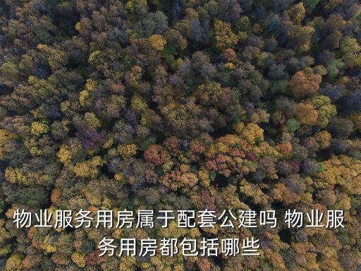 物業(yè)服務(wù)用房屬于配套公建嗎 物業(yè)服務(wù)用房都包括哪些