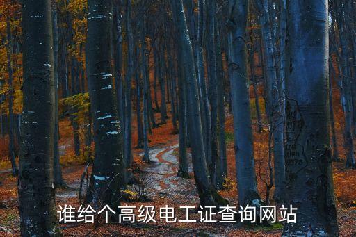 高級(jí)電工證查詢，怎樣查高級(jí)電工等級(jí)證