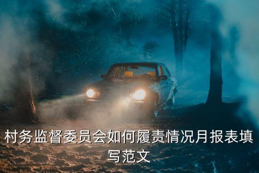 村務(wù)監(jiān)督委員會職責(zé)，村務(wù)監(jiān)督委員會如何履責(zé)情況月報表填寫范文