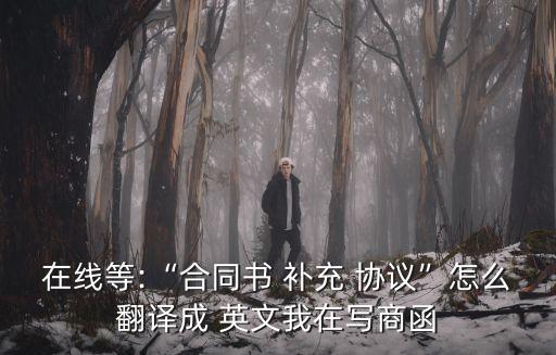 補充協(xié)議英文范本,房屋租賃補充協(xié)議格式范本