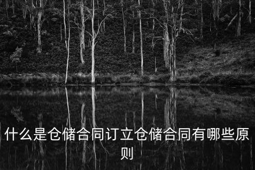 什么是倉(cāng)儲(chǔ)合同訂立倉(cāng)儲(chǔ)合同有哪些原則