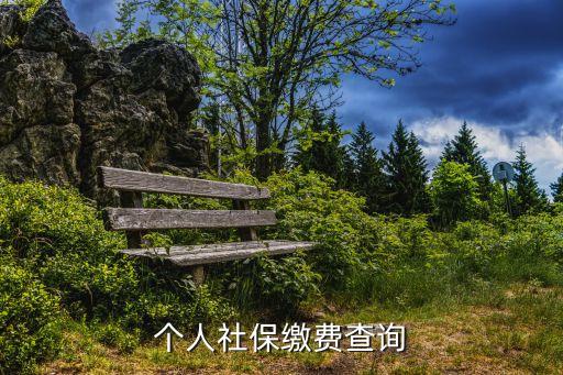個人社保繳費查詢