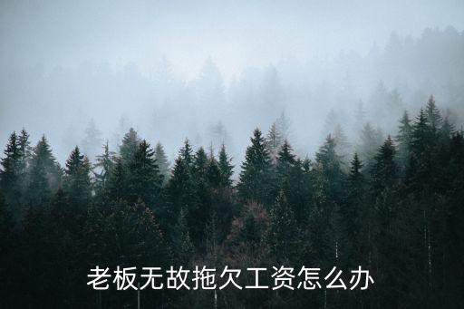 無(wú)故拖欠工資，老板無(wú)故拖欠工人工資
