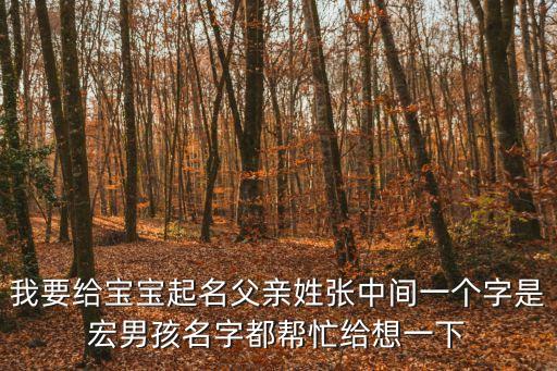 我要給寶寶起名父親姓張中間一個字是宏男孩名字都幫忙給想一下