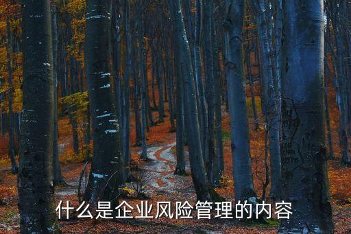 企業(yè)風(fēng)險(xiǎn)管理，什么是企業(yè)風(fēng)險(xiǎn)管理的內(nèi)容
