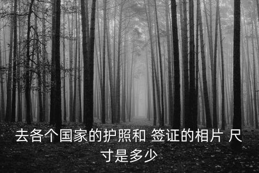去各個國家的護照和 簽證的相片 尺寸是多少