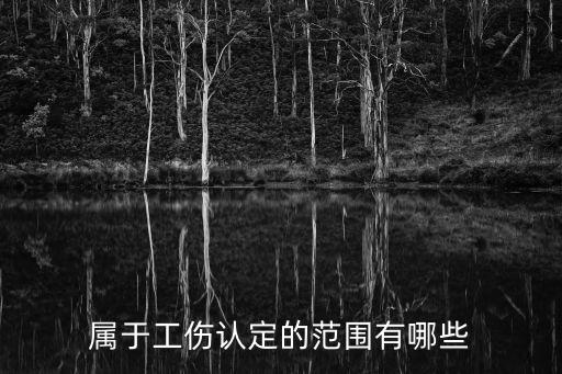 屬于工傷認(rèn)定的范圍有哪些