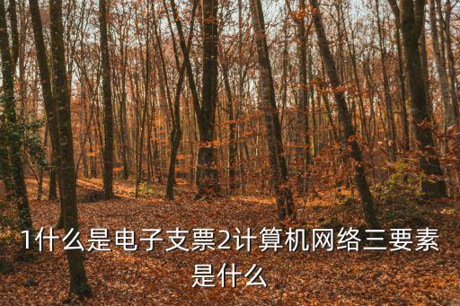 1什么是電子支票2計算機網(wǎng)絡三要素是什么
