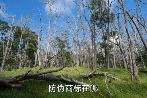 防偽商標(biāo)在哪