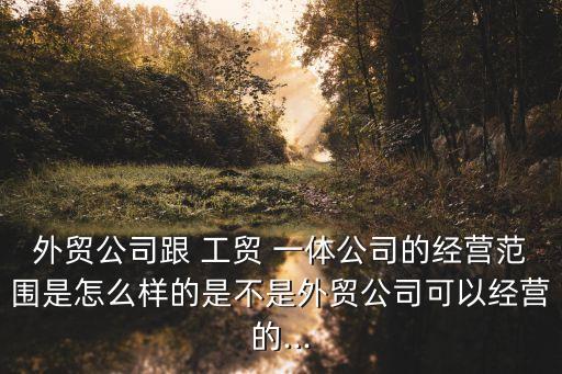 外貿(mào)公司跟 工貿(mào) 一體公司的經(jīng)營范圍是怎么樣的是不是外貿(mào)公司可以經(jīng)營的...