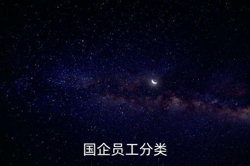 國(guó)企員工分類