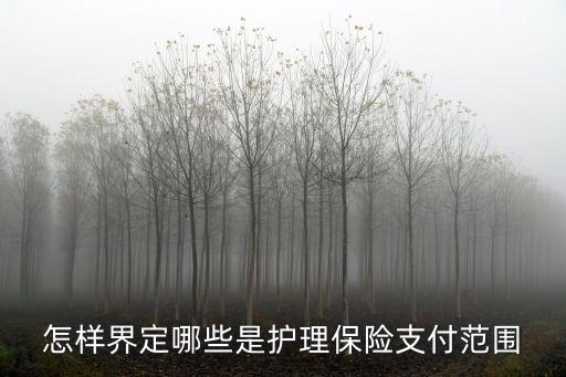 照護險，長護險每月700元什么意思