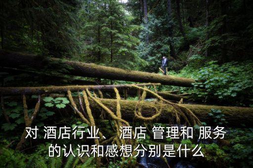 酒店服務(wù)與管理,我主修酒店服務(wù)與管理
