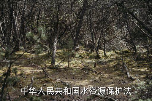 水資源保護(hù)法，我國(guó)關(guān)于水資源保護(hù)的法律和條約