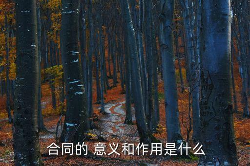 什么合同具有法律意義,合同上加蓋公章的法律意義