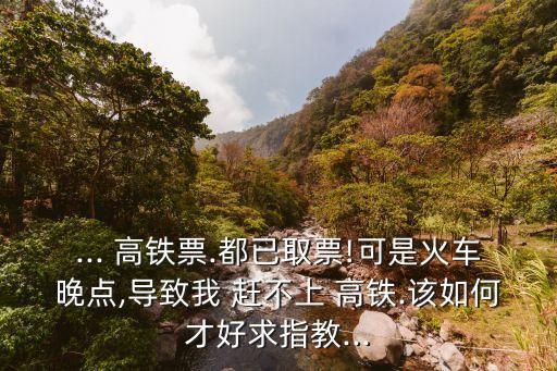 高鐵趕不上怎么辦,因?yàn)橥睃c(diǎn)導(dǎo)致的下一趟高鐵趕不上怎么辦