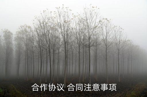 合作簽合同要注意什么,二手車簽合同應(yīng)該注意什么