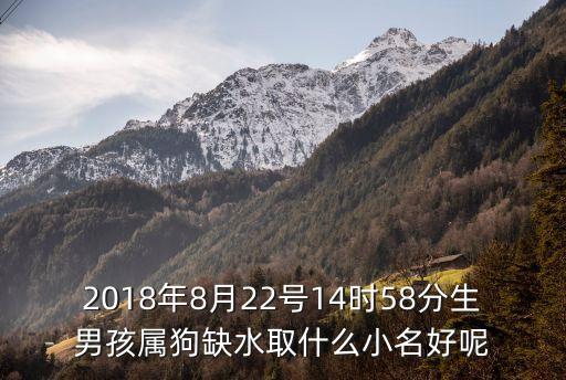 2018年8月22號(hào)14時(shí)58分生男孩屬狗缺水取什么小名好呢