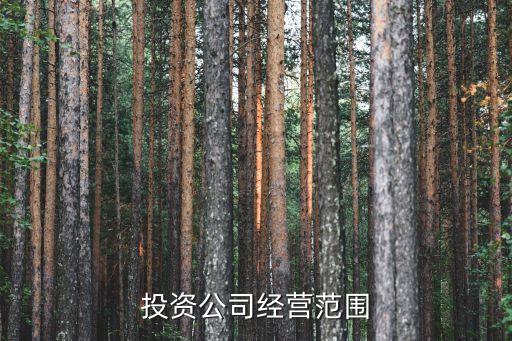 投資公司經(jīng)營范圍