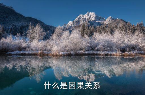 因果關(guān)系，什么是因果關(guān)系