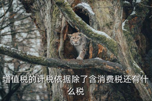 增值稅計(jì)稅依據(jù)，增值稅的計(jì)稅依據(jù)除了含消費(fèi)稅還有什么稅