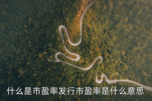 什么是市盈率發(fā)行市盈率是什么意思