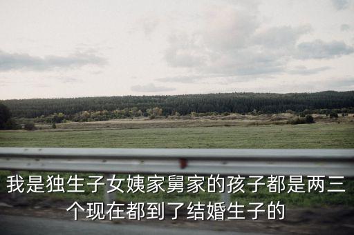 我是獨(dú)生子女姨家舅家的孩子都是兩三個(gè)現(xiàn)在都到了結(jié)婚生子的