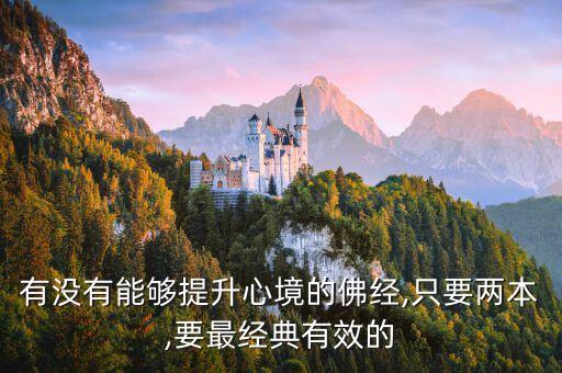 有沒有能夠提升心境的佛經(jīng),只要兩本,要最經(jīng)典有效的