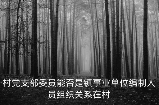 村支書(shū)有編制嗎，問(wèn)下村官有編制嗎