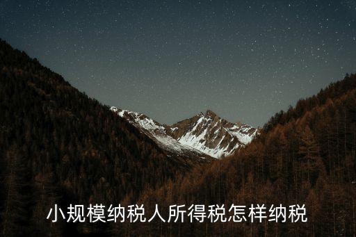 小規(guī)模所得稅，小規(guī)模納稅人所得稅怎樣納稅