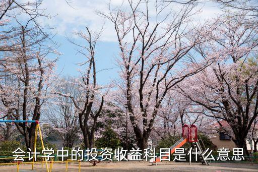會計學中的投資收益科目是什么意思