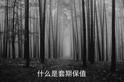 期貨套保什么意思,2萬塊做期貨每天賺1000元