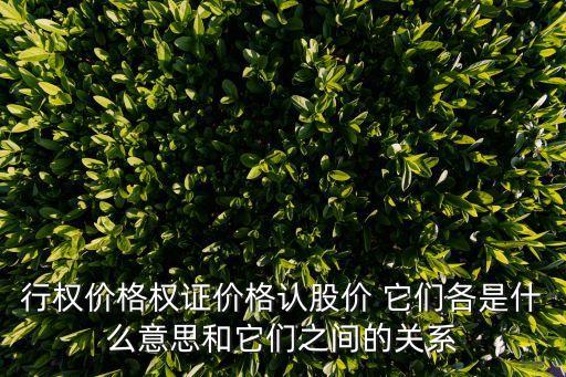 行權(quán)價格，什么是原行權(quán)價格什么是新行權(quán)價格
