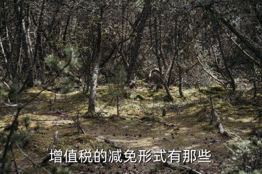 增值稅的減免形式有那些