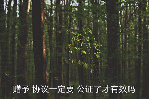 贈(zèng)與協(xié)議需要公證嗎,房產(chǎn)贈(zèng)與的最新規(guī)定
