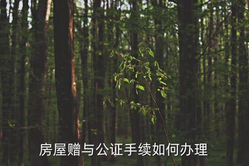 贈(zèng)與公證，受贈(zèng)書公證和贈(zèng)與公證是什么意思