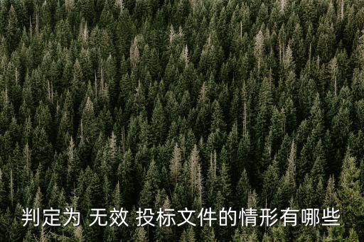 投標(biāo)無效的情況,投標(biāo)價(jià)格低于多少無效