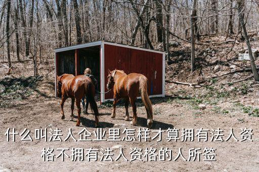 什么叫法人企業(yè)里怎樣才算擁有法人資格不擁有法人資格的人所簽