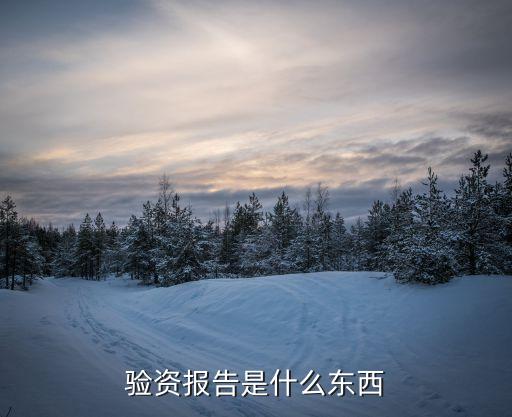 驗(yàn)資報(bào)告，驗(yàn)資報(bào)告包含哪些內(nèi)容