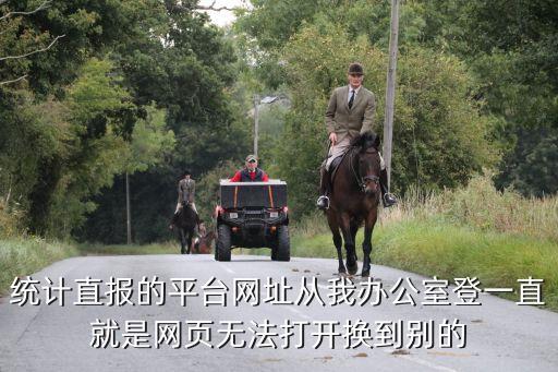 上海統(tǒng)計聯(lián)網(wǎng)直報平臺，上海統(tǒng)計局和黃浦區(qū)統(tǒng)計局的網(wǎng)站是什么