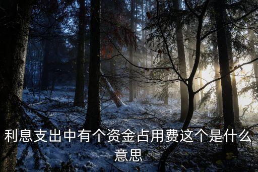 利息支出中有個資金占用費這個是什么意思