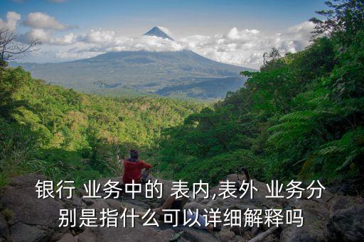 表內業(yè)務,金額在元以上的表內業(yè)務