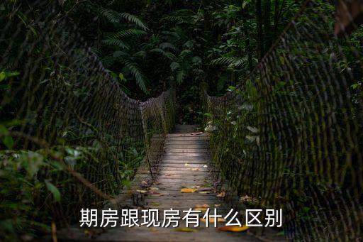 期房跟現(xiàn)房有什么區(qū)別