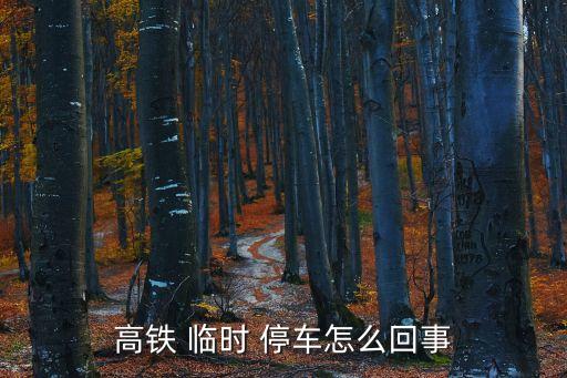 火車臨時(shí)停車