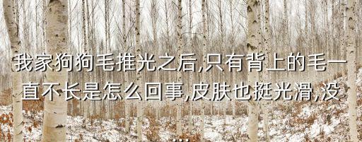 毛推,毛遂自薦是成語嗎