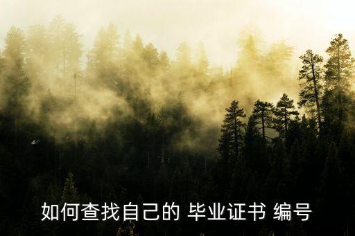 畢業(yè)證編號怎么查,成人本科畢業(yè)證編號怎么查