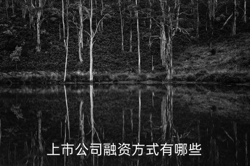 上市公司融資，上市公司融資方式有哪些